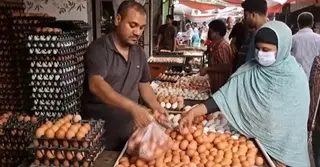 টাঙ্গাইলে ডিমের দাম কমলেও বিপাকে খামারি-ব্যবসায়ীরা